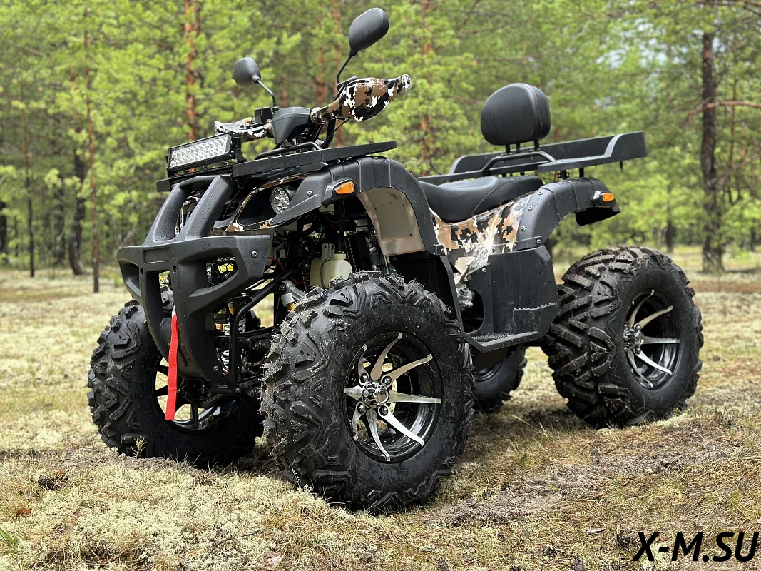 Квадроцикл PROMAX 320 DOMINATOR PRO (2025) Квадроцикл PROMAX 320 DOMINATOR PRO (2025)