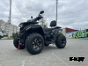 Квадроцикл GBM CROSS HILL 320 BIG PREMIUM