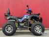 Квадроцикл PROMAX ATV 250 MAX (2025)