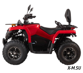 Квадроцикл Bizon YK250 BASIC CARB